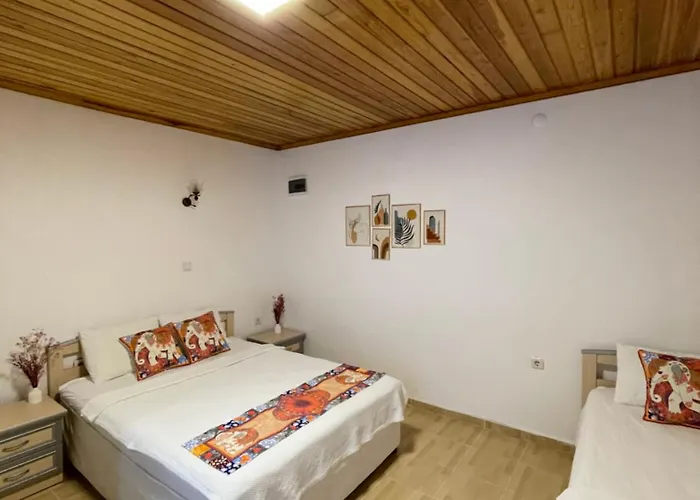 Oezdemir דטקה