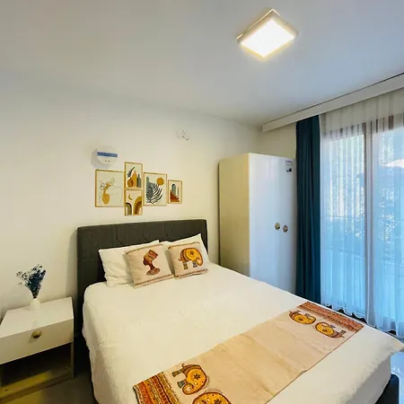 Oezdemir ホテル *