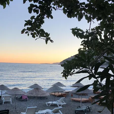 Oezdemir * ダッチャ